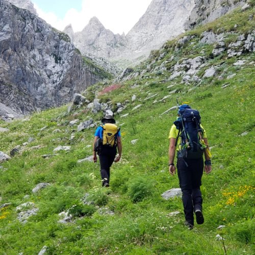 20190717_113307.jpg (1)