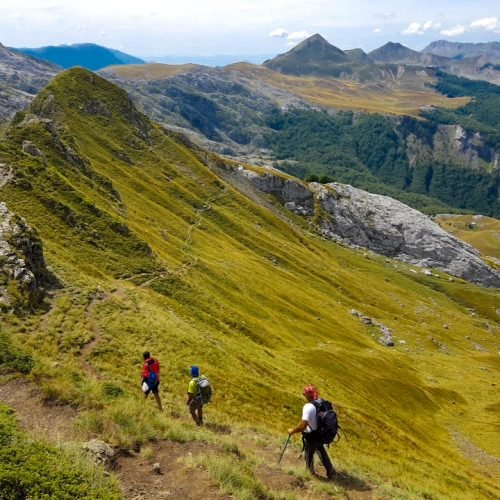 DJI_20200902_133437_87.jpg (3)