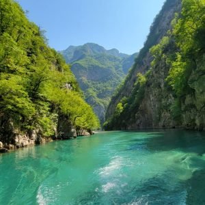 WhatsApp Image 2026-02-15 at 11.42.16 PM