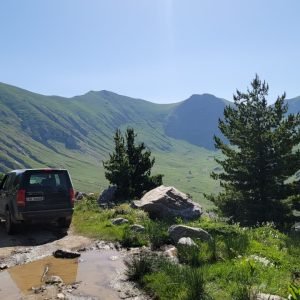 WhatsApp Image 2026-02-17 at 7.20.24 AM