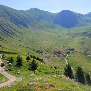 WhatsApp Image 2026-02-17 at 7.20.25 AM