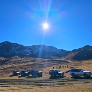 WhatsApp Image 2026-02-17 at 7.20.50 AM