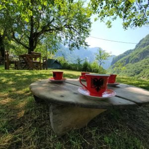 WhatsApp Image 2026-02-17 at 7.37.46 AM