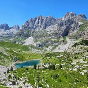 WhatsApp Image 2026-02-17 at 7.38.24 AM