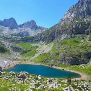 WhatsApp Image 2026-02-17 at 7.38.29 AM