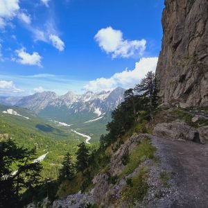 WhatsApp Image 2026-02-17 at 7.38.32 AM (1)