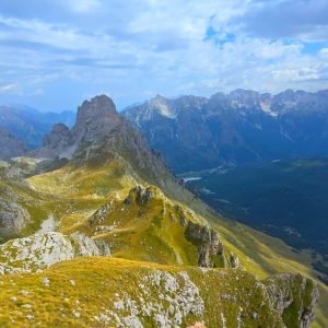 WhatsApp Image 2026-02-17 at 7.38.32 AM (2)