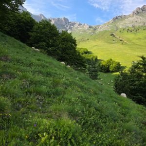 WhatsApp Image 2026-02-17 at 7.38.32 AM (3)