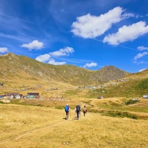 WhatsApp Image 2026-02-17 at 7.50.31 AM